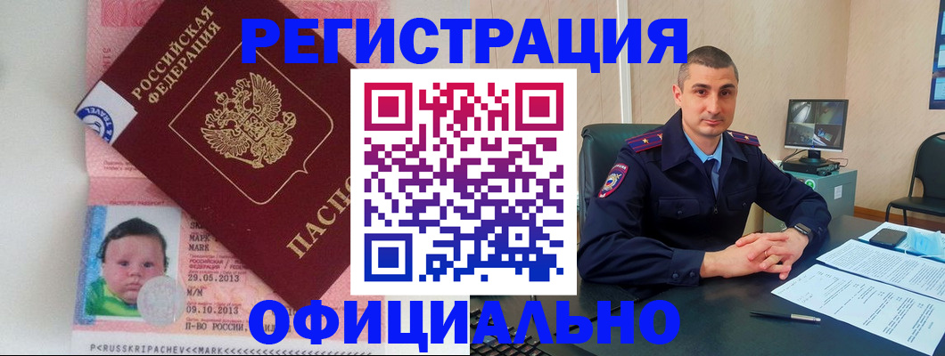прописка поиск в Котово